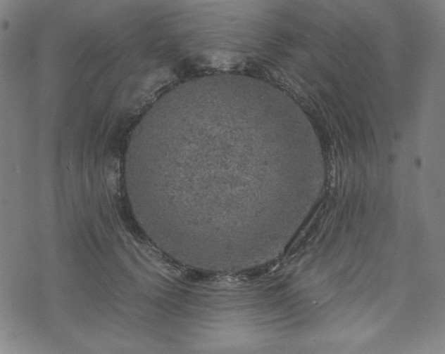 X0000072550656200607211400