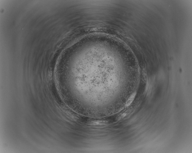 X0000072550657200607211400