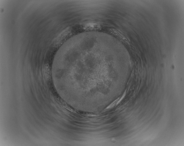 X0000072550659200607211400