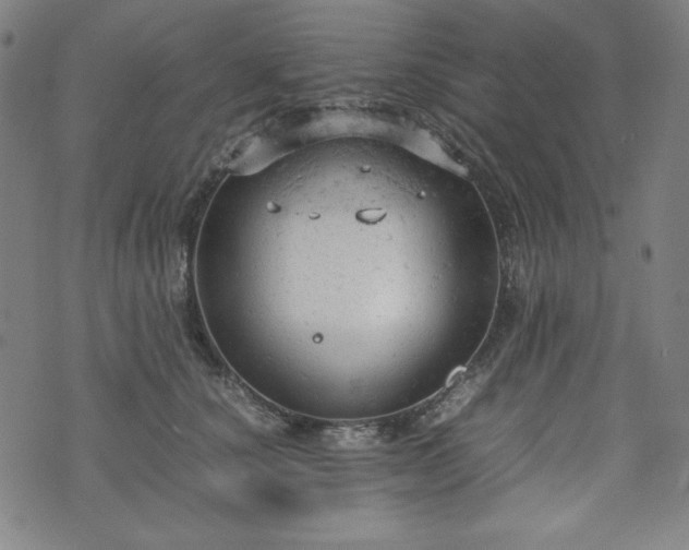 X0000072550660200607211400