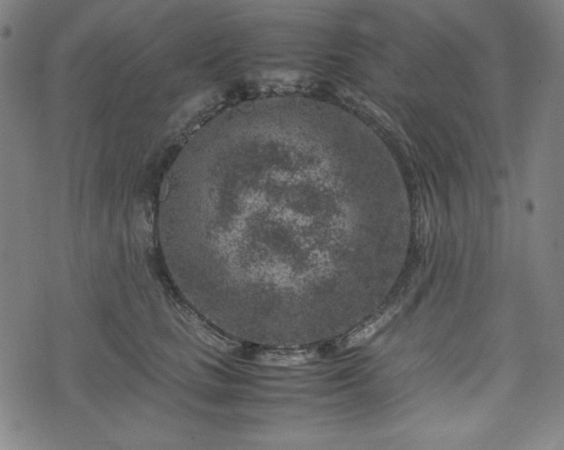 X0000072550661200607211400