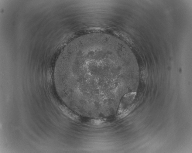 X0000072550662200607211400