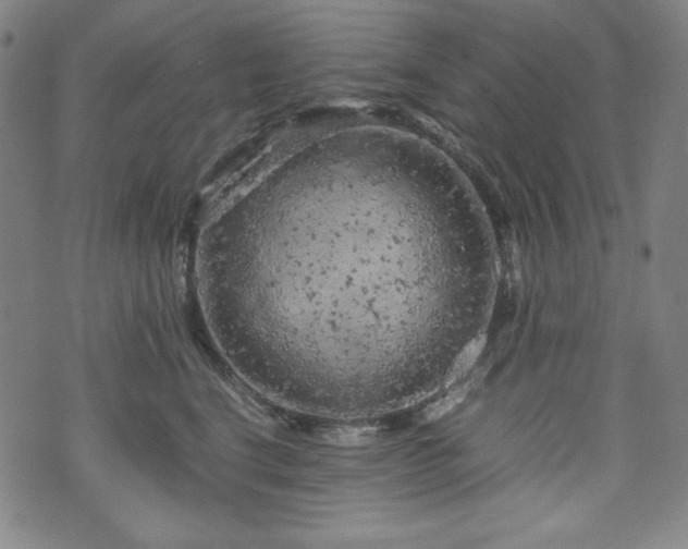 X0000072550664200607211400