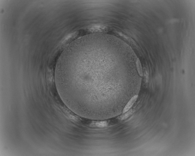 X0000072550665200607211400