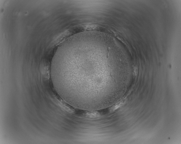 X0000072550666200607211400