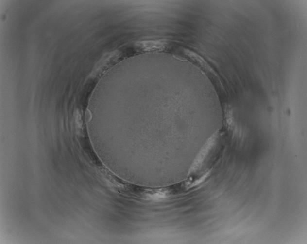 X0000072550667200607211400