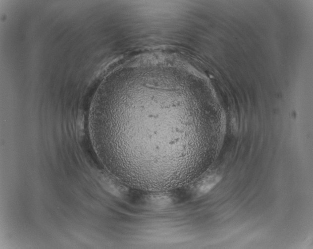 X0000072550668200607211400