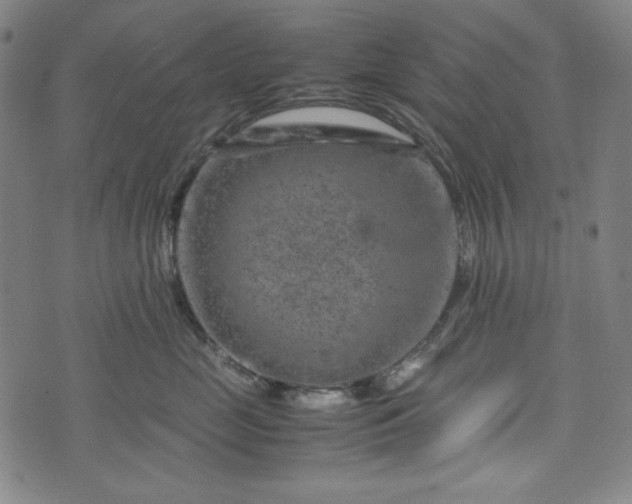 X0000072550669200607211400