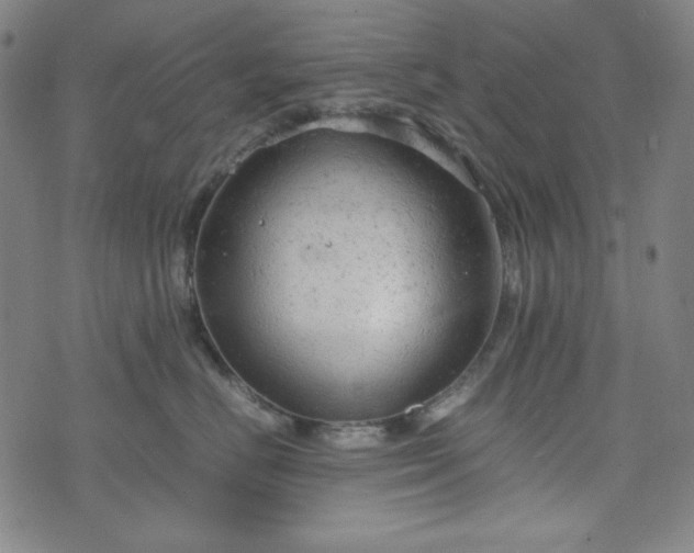 X0000072550670200607211400