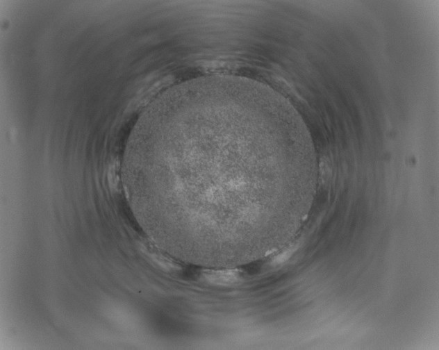 X0000072550671200607211400