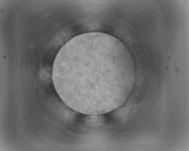 X0000072550672200607211400