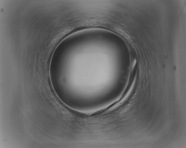 X0000072550673200607211400