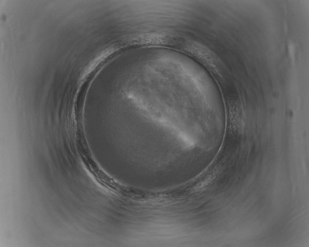 X0000072550674200607211400