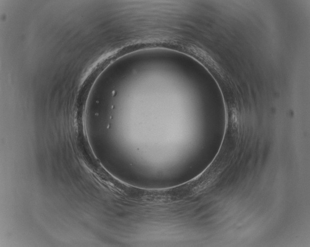 X0000072550676200607211400