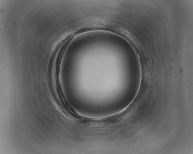 X0000072550677200607211400