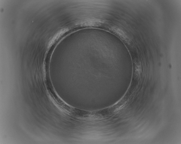 X0000072550678200607211400