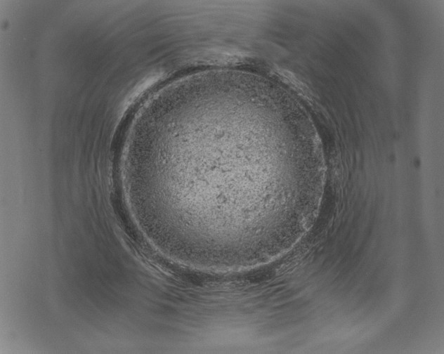 X0000072550679200607211400