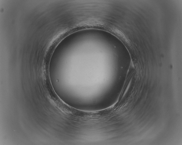 X0000072550680200607211400