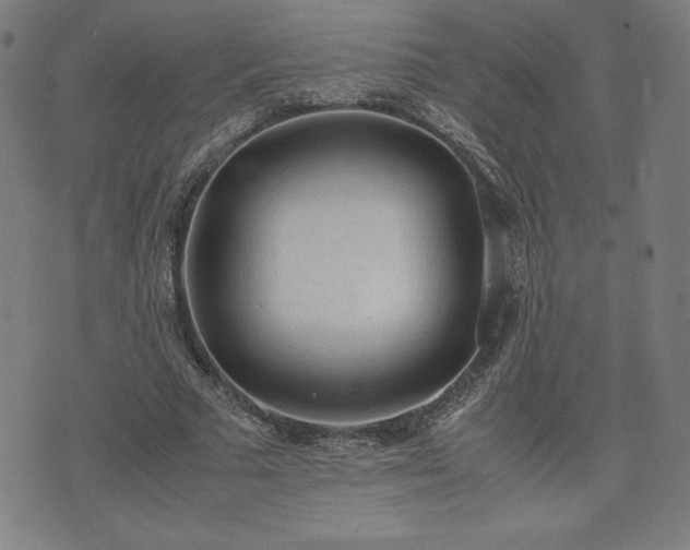 X0000072550681200607211400