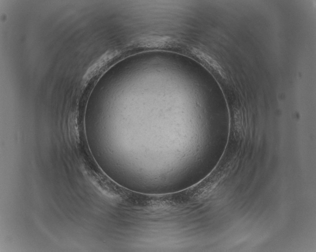 X0000072550682200607211359