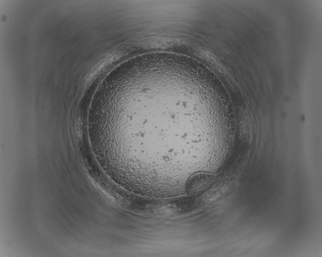 X0000072550683200607211359