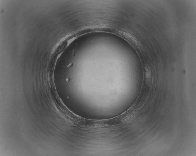 X0000072550684200607211359