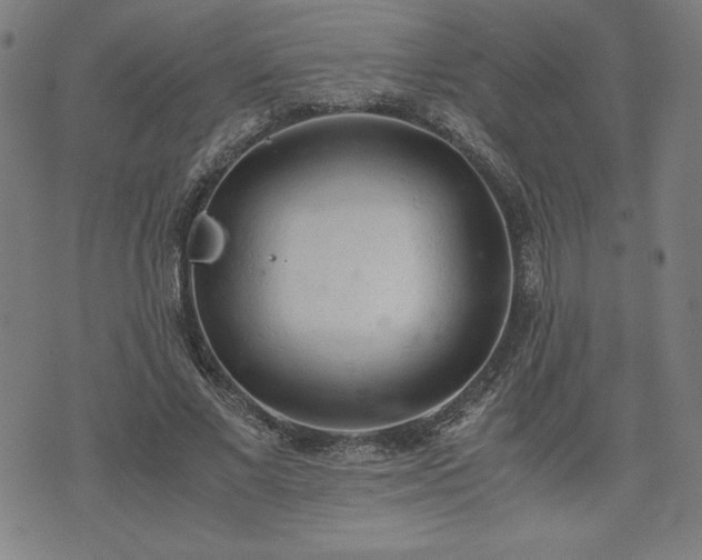 X0000072550685200607211359