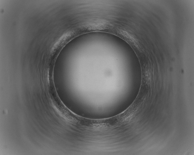 X0000072550686200607211359