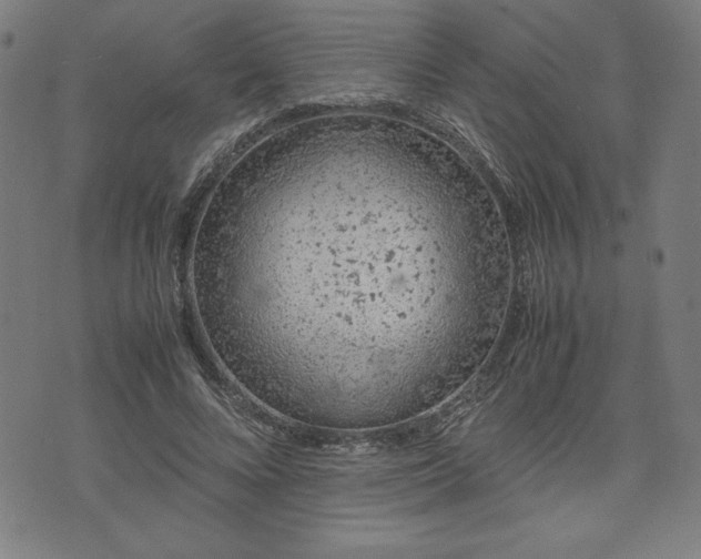 X0000072550688200607211359