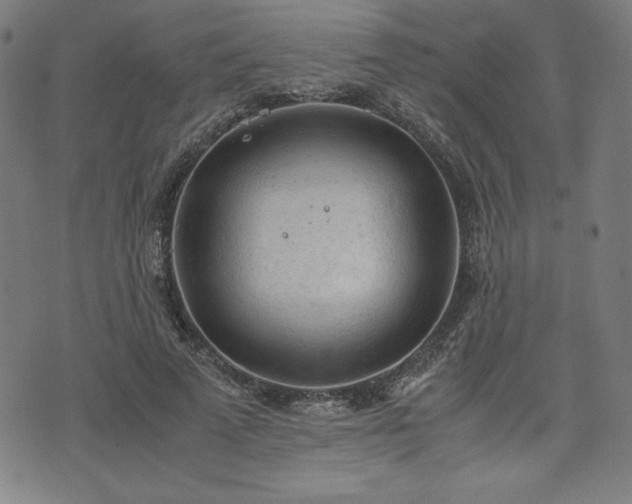 X0000072550689200607211359