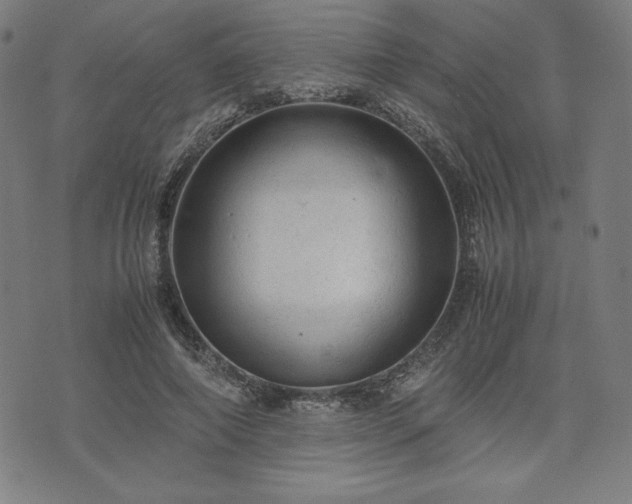 X0000072550690200607211359