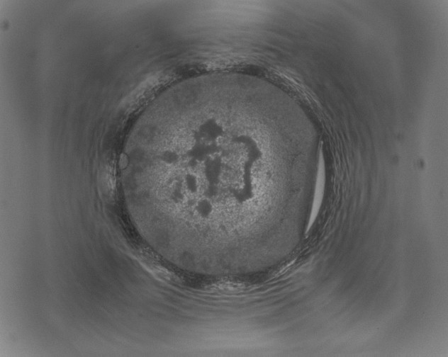 X0000072550691200607211359