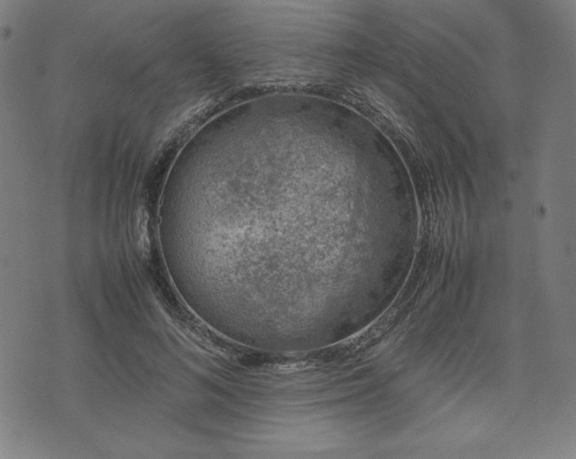 X0000072550692200607211359