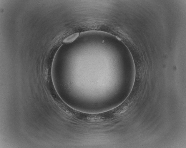 X0000072550693200607211359