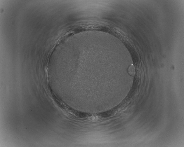 X0000072550695200607211359