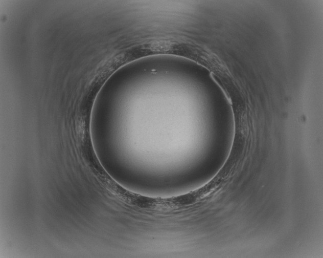 X0000072550697200607211359