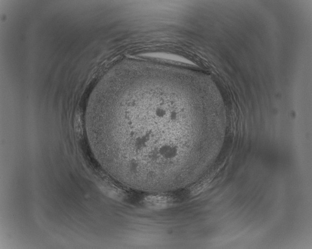 X0000072550699200607211359