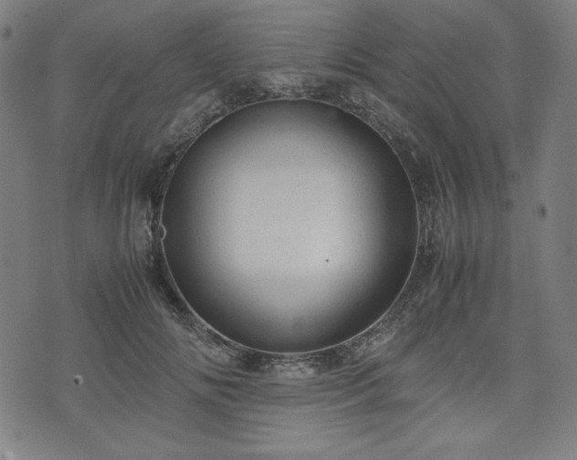 X0000072550702200607211359