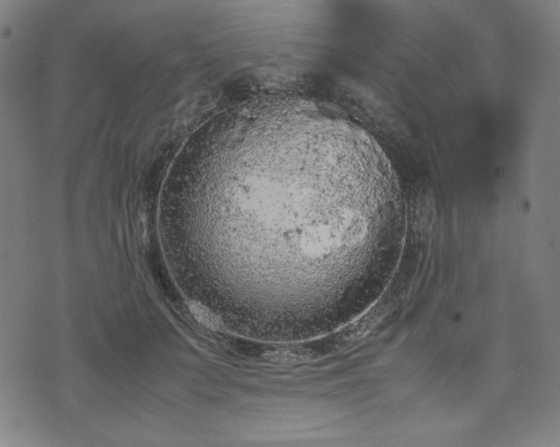 X0000072550703200607211359