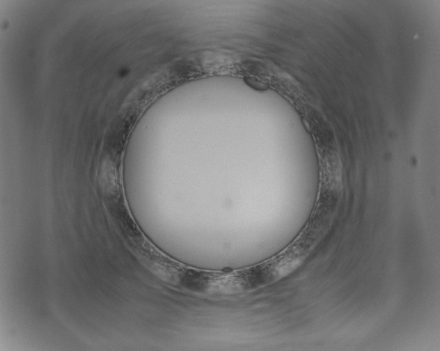 X0000072550705200607211359