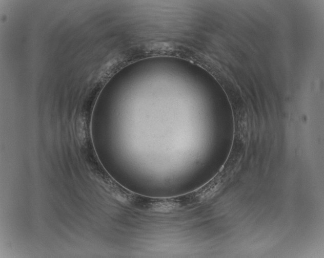 X0000072550708200607211359