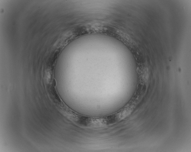 X0000072550709200607211359