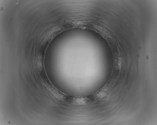 X0000072550710200607211359