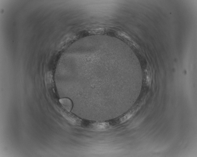 X0000072550711200607211359