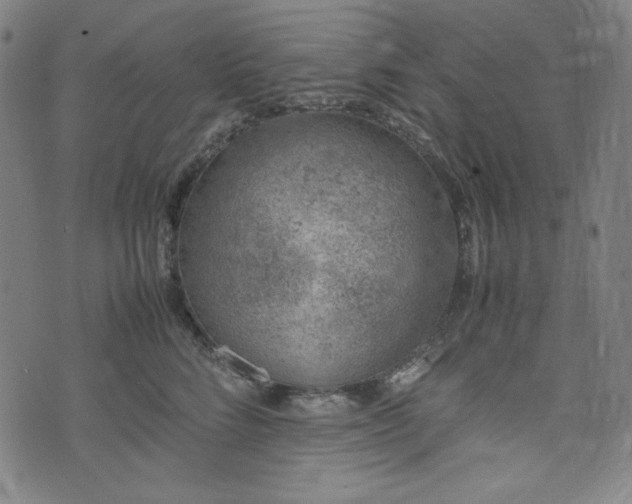 X0000072550712200607211359