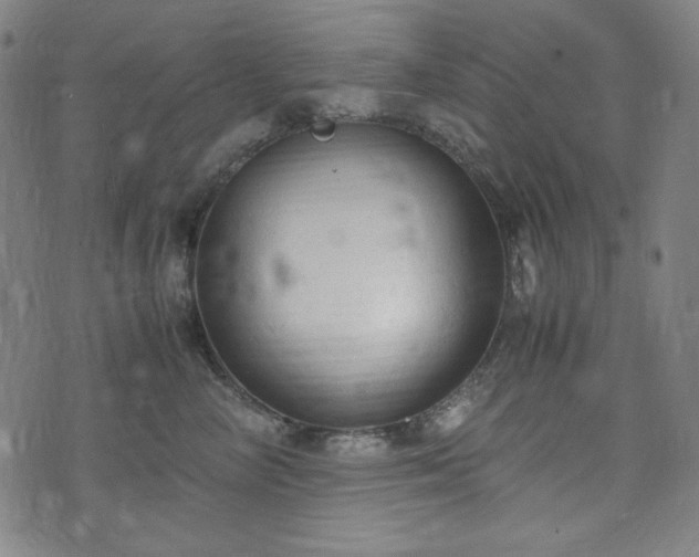 X0000072550714200607211359