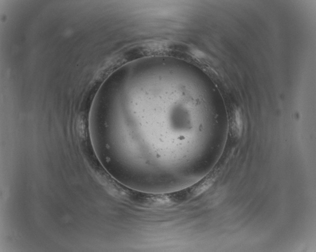 X0000072550715200607211359