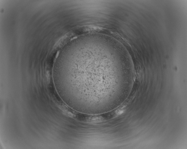 X0000072550716200607211359