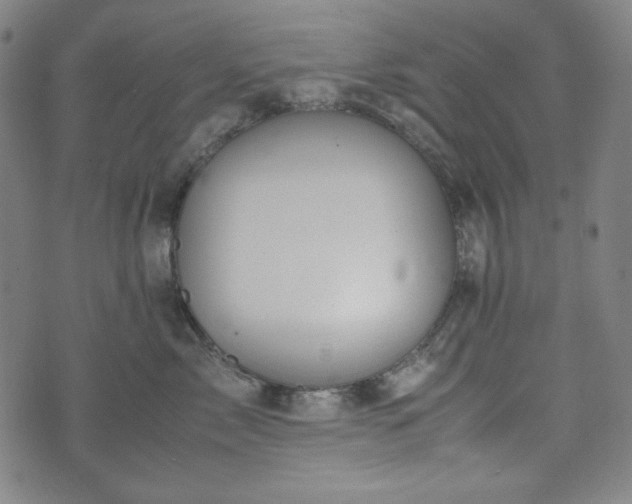 X0000072550717200607211359