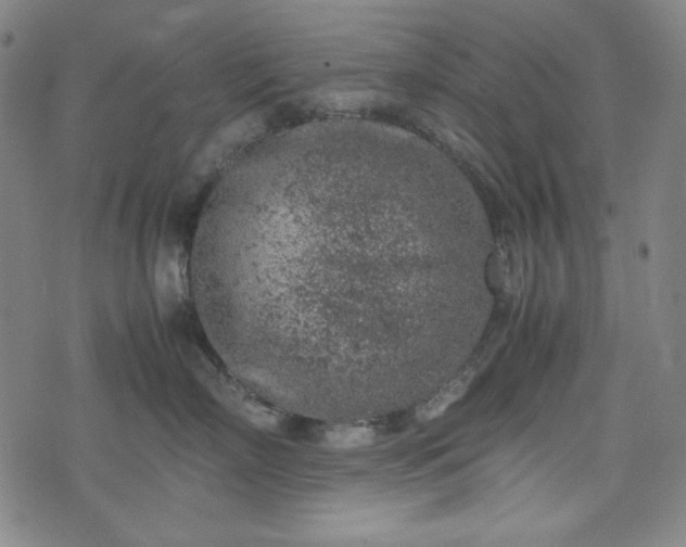 X0000072550718200607211359